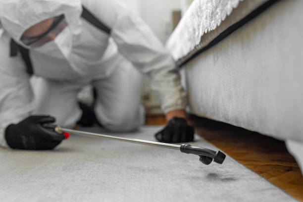 Professional Termite Control technician working in Bacliff, TX