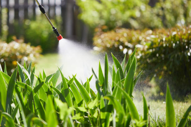 24/7 Emergency Termite Control experts in Bacliff, TX