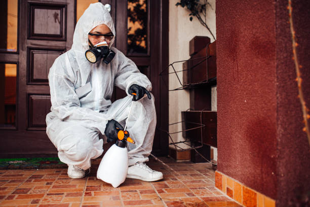 Reliable Termite Control contractor in Bacliff, TX by Nex Pest Control